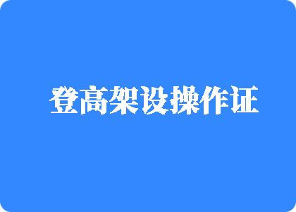 caosaonv登高架设操作证